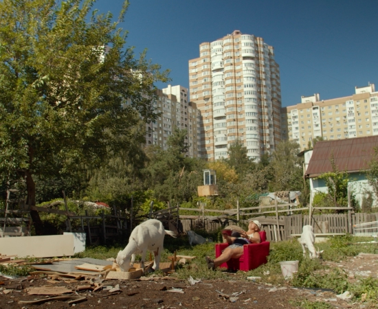 КВІТИ УКРАЇНИ